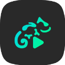 蜥蜴音乐播放器手机软件app logo