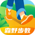 森野步数手机软件app logo