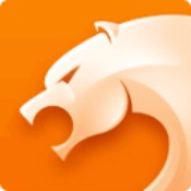 猎豹浏览器app下载安装