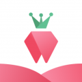 树莓小说阅读器手机软件app logo