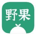 野果阅读官网版手机软件app logo