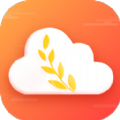 麦穗天气手机软件app logo