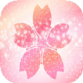 樱花壁纸app下载手机软件app logo