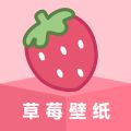 草莓壁纸手机软件app logo