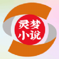 灵梦小说手机软件app logo