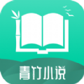 青竹小说安卓版下载手机软件app logo