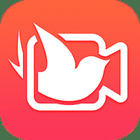 飞鸽影视手机软件app logo