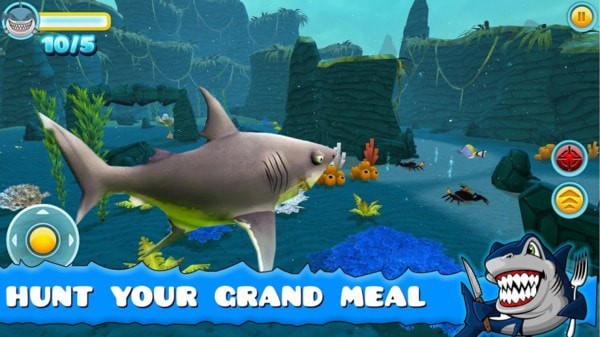鲨鱼养成游戏盘点
