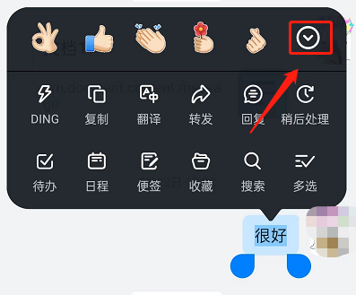 《钉钉》发文字表情方法